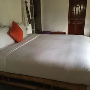 Maison d'hôtes An Bang Hideaway